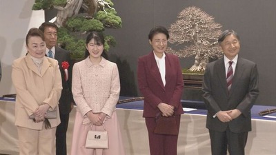 20260217-07287983-jnn-000-2-view