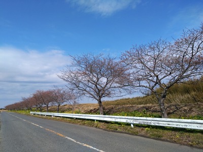 DSC_4832_copy_1600x1200