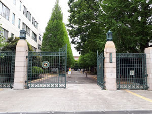 AS20190429002222_commL