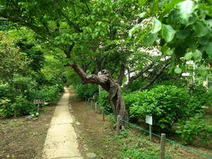 DSC_6067_copy_1600x1200
