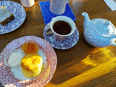 IMG_20240125_154930_copy_1600x1200