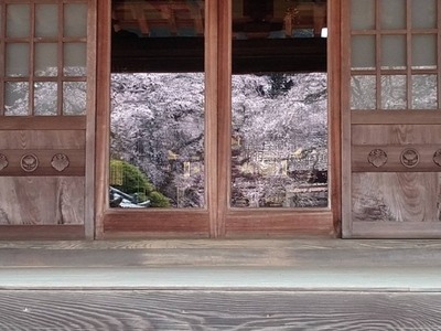 1742977127817_copy_590x443