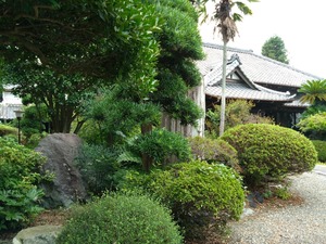 DSC_3267_copy_1600x1200