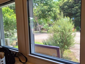 DSC_2268_copy_1600x1200