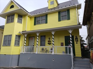 IMG_20241213_114509_copy_1600x1200