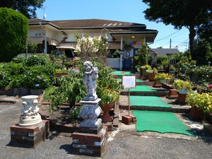 DSC_2113_copy_1600x1200