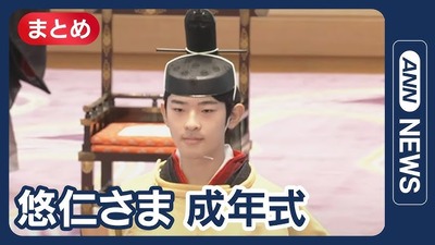 ANN��ǯ�ε�
