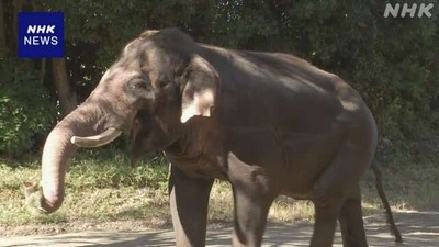 K10014994961_2512051507_1205173141_02_03