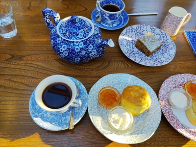 IMG_20240125_154935_copy_1600x1200