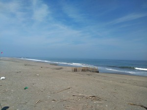 DSC_2988_copy_1600x1200