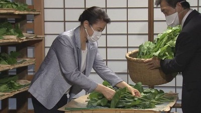 m_tbs-6088382