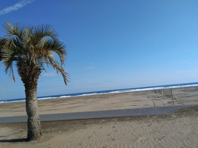 DSC_4837_copy_1600x1200