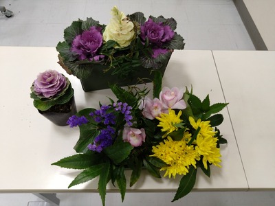 DSC_4608_copy_1600x1200