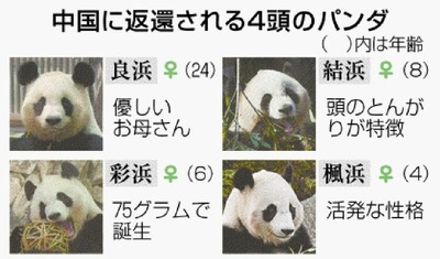 img_740e8182c469cd63afb972f1f807217f301296