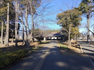 IMG_20240125_134307_copy_1600x1200_1