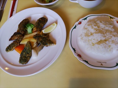 IMG_20210728_120942_copy_1600x1200