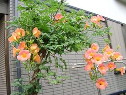 f276b9bb.jpg
