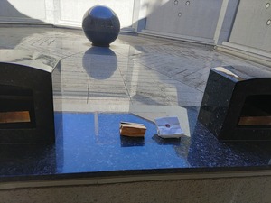 IMG_20240125_134713_copy_1600x1200_1