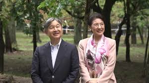 20251004-01377832-nnn-000-1-view