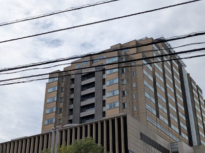 13  ȥХإ륹εCDC(ΩݰŸ楻󥿡)