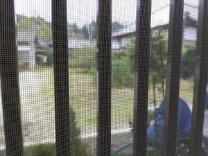 IMG_20220526_124050_copy_1600x1200