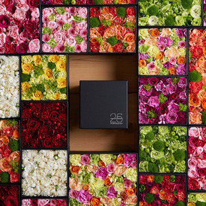 ¥Ë¥³¥é¥¤¥Ð¡¼¥°¥Þ¥ó