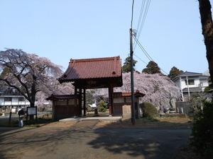 DSC_0933_copy_1600x1200