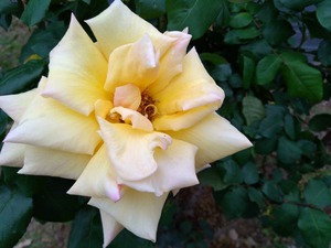 DSC_5758_copy_1600x1200