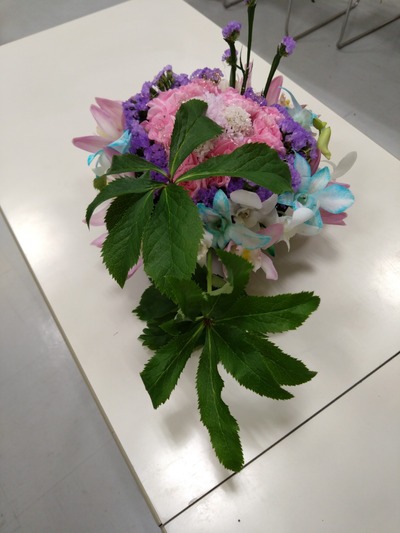 DSC_0533_copy_1200x1600