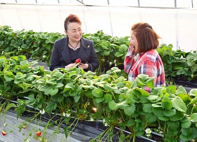 img_09bc25aa4471b59aa79bb9b71e5ddb7b983343