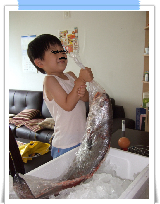 ミノという名の魚 ありらん通信 ミノという名の魚 ありらん通信