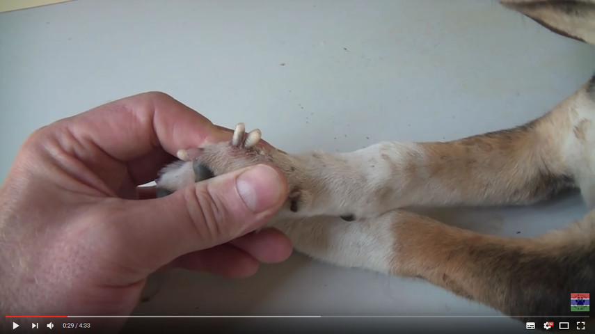 Destiny 鳥取の社長日記