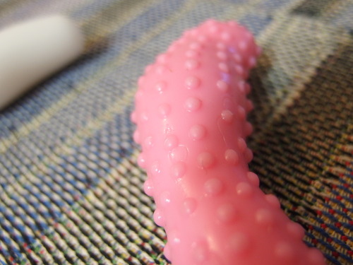 Tengaわんや 鳥取の社長日記