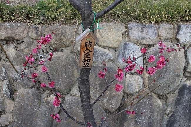 IMG_0913_R IMG_0913_R