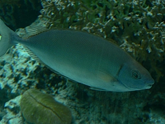 P1020639
