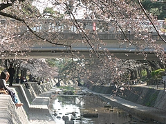 P1030339
