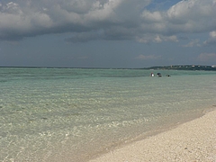 P1020586