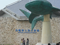 P1020620