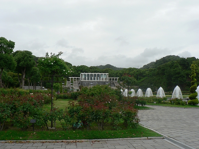 P1090577 P1090577