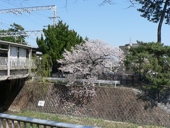 P1100220 P1100220