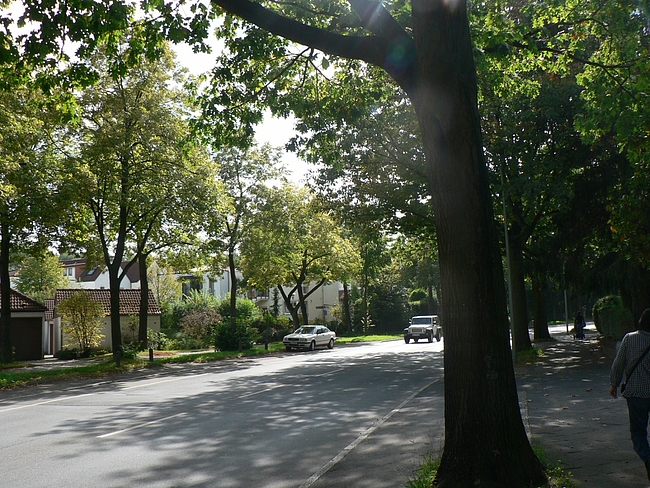 P1070908 P1070908