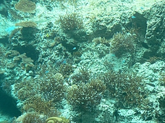 P1020649