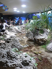 P1020637