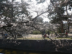 P1030194