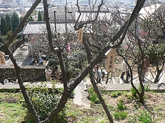 P1030092