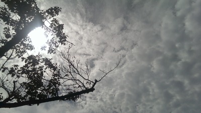 IMAG3169