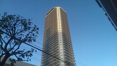 IMAG0266