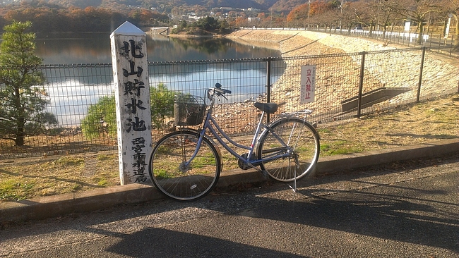 IMAG1281 IMAG1281