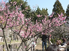 P1030144