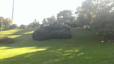IMAG0348